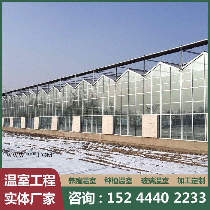 玻璃温室 玻璃温室承建 智能玻璃温室 欢迎来电咨询图5