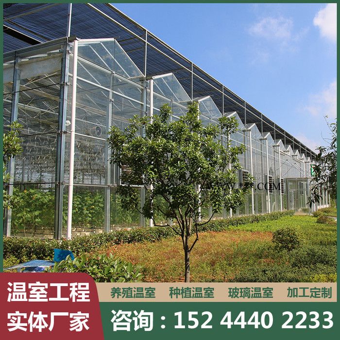 玻璃温室 玻璃温室承建 智能玻璃温室 欢迎来电咨询图7