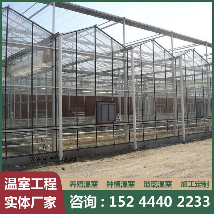 玻璃温室 玻璃温室承建 智能玻璃温室 欢迎来电咨询图8