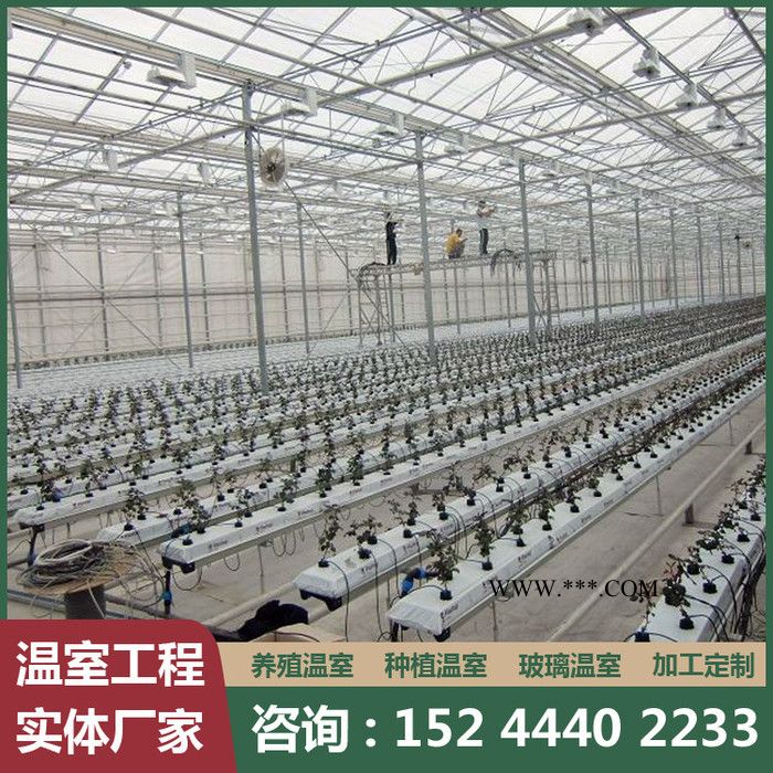 玻璃温室 玻璃温室承建 智能玻璃温室 欢迎来电咨询图2