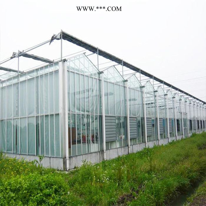玻璃温室 玻璃大棚 搭建蔬菜玻璃温室 建造厂家图3