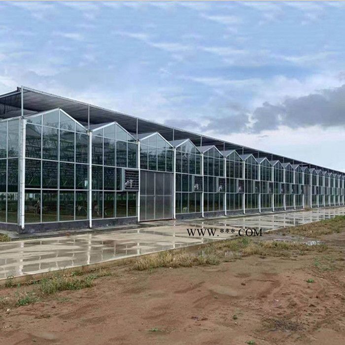 玻璃温室 玻璃大棚 搭建蔬菜玻璃温室 建造厂家图4