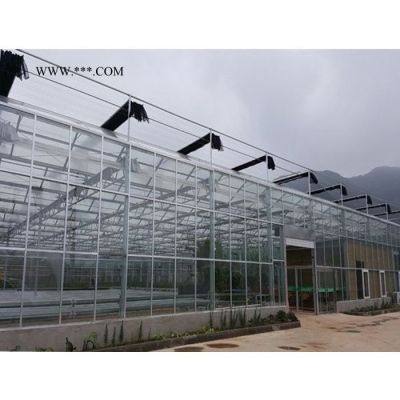 玻璃温室 玻璃大棚 搭建蔬菜玻璃温室 建造厂家