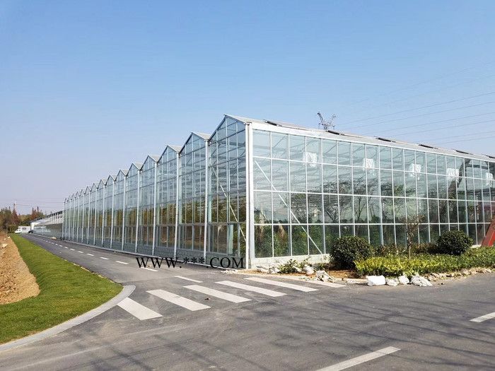 景农农业玻璃连栋温室玻璃连栋温室厂家玻璃温室大棚玻璃温室