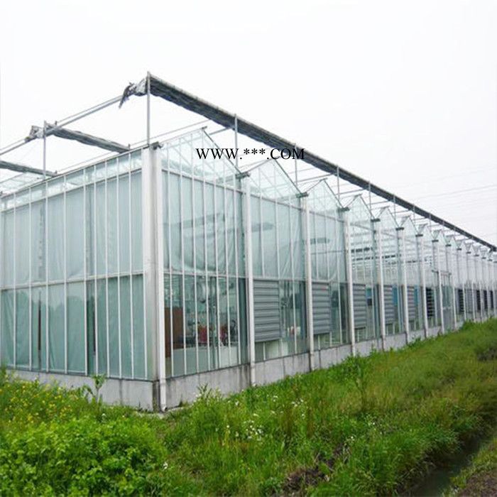 玻璃温室价格 承建玻璃大棚 建设玻璃温室大棚
