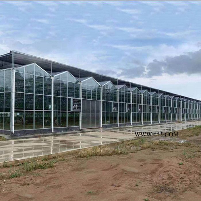 玻璃温室价格 承建玻璃大棚 建设玻璃温室大棚图4