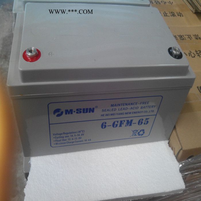 M.SUN电池/M.SUN电池厂家 M.SUN 6-GFM-65电池价格美阳ups电池12V65ah报价图3