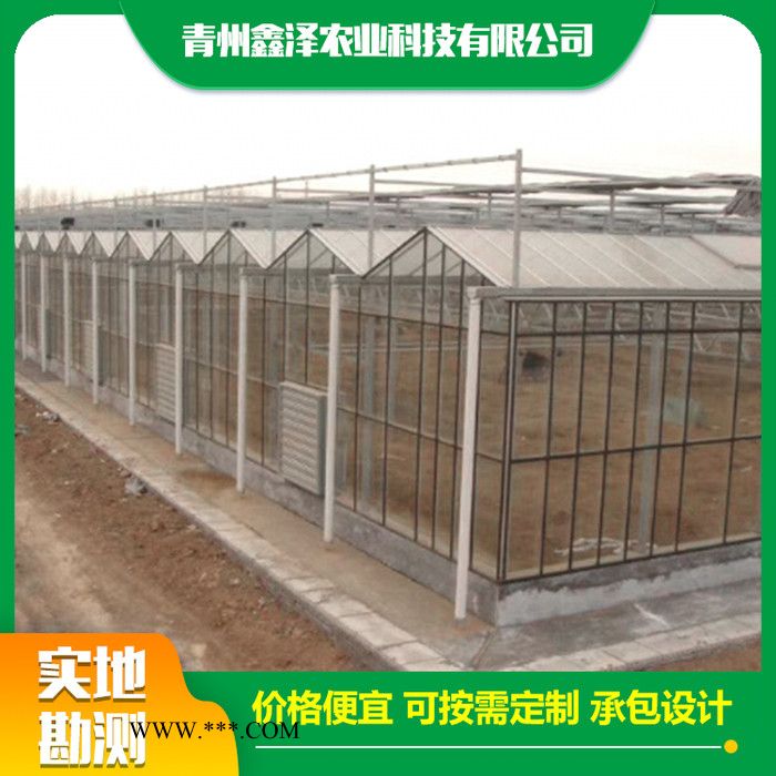 玻璃大棚 鑫泽农业 连栋玻璃大棚 智能玻璃大棚图5