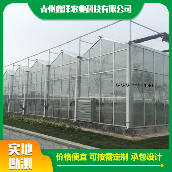 玻璃大棚 鑫泽农业 连栋玻璃大棚 智能玻璃大棚图2