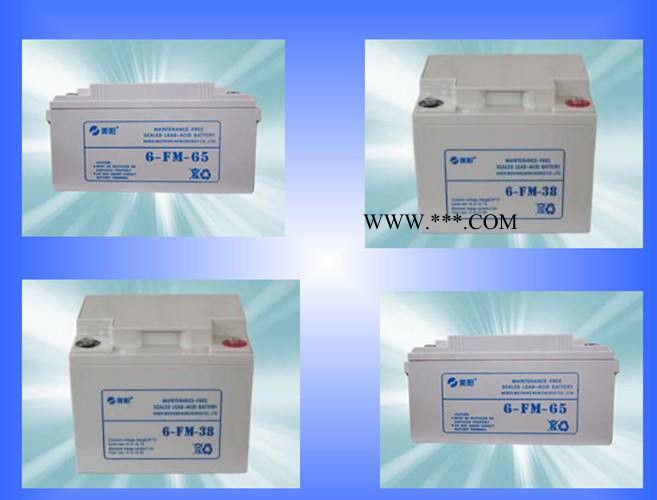 美阳M.SUN蓄电池6-GFM-100 12V100AH消防照明 UPS蓄电池 光伏太阳能电池图8