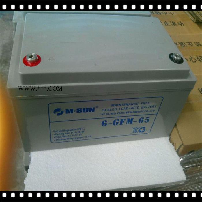 美阳M.SUN蓄电池6-GFM-100 12V100AH消防照明 UPS蓄电池 光伏太阳能电池图4