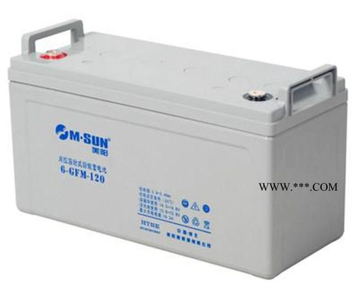 美阳M.SUN蓄电池6-GFM-100 12V100AH消防照明 UPS蓄电池 光伏太阳能电池图3