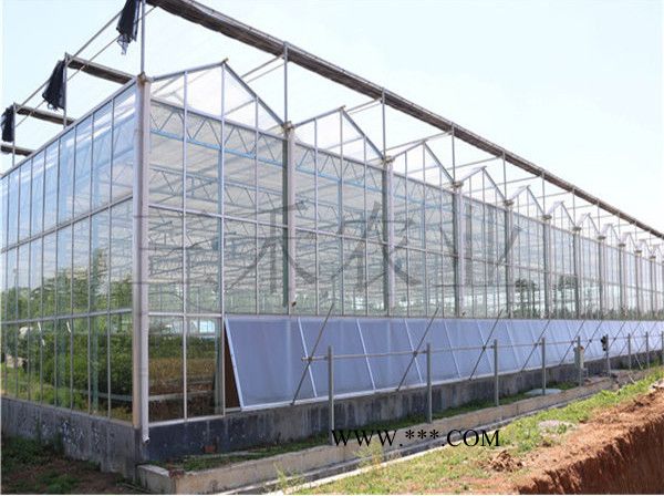 寿光三禾农业玻璃智能温室连栋玻璃温室玻璃温室玻璃温室大棚