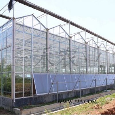 寿光三禾农业玻璃智能温室连栋玻璃温室玻璃温室玻璃温室大棚