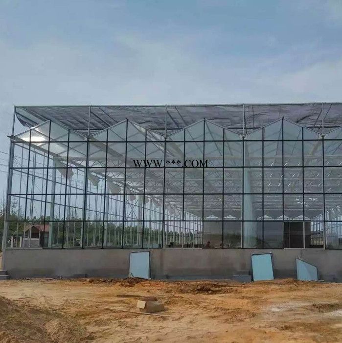 五丰 承建玻璃温室 连栋玻璃温室 玻璃大棚 智能玻璃温室图2