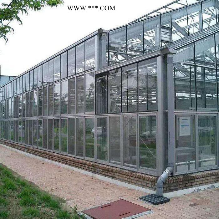 五丰 承建玻璃温室 连栋玻璃温室 玻璃大棚 智能玻璃温室