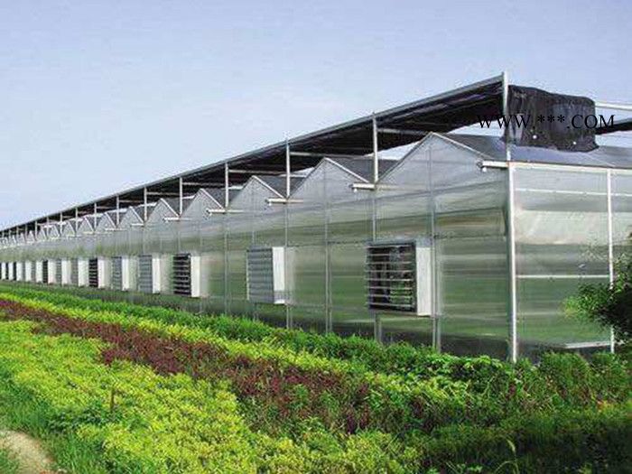 玻璃温室 玻璃温室大棚 玻璃连栋温室 玻璃生态餐厅