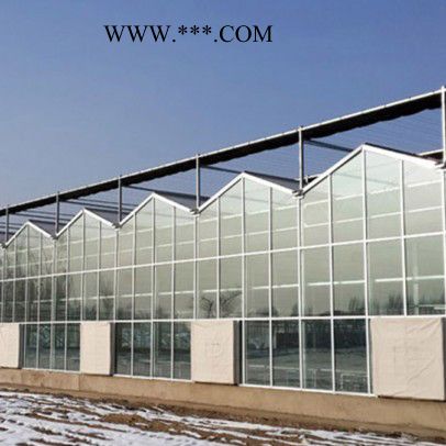 玻璃温室 玻璃温室建造商 金枝 玻璃智能温室