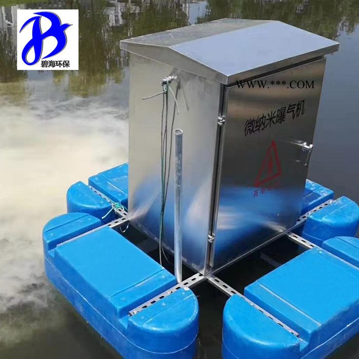 微纳米曝气机 BH-SUN   微纳米曝气机河道增氧曝气图5