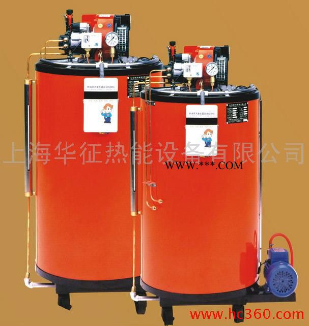 T.SUN供应燃油锅炉（蒸汽发生器）图1