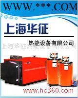 T.SUN供应燃油锅炉（蒸汽发生器）图2