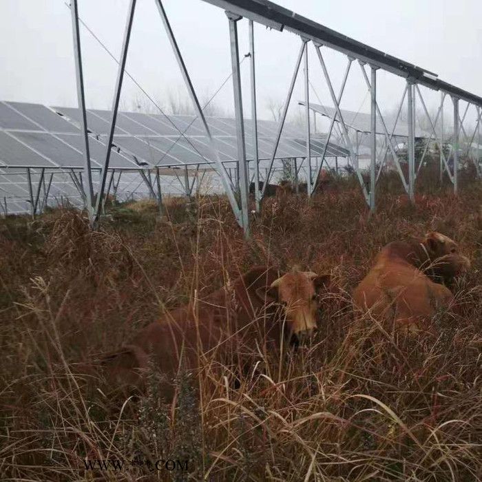 瑞铭达 **玻璃钢太阳能光伏支架 固定太阳能光伏支架图4
