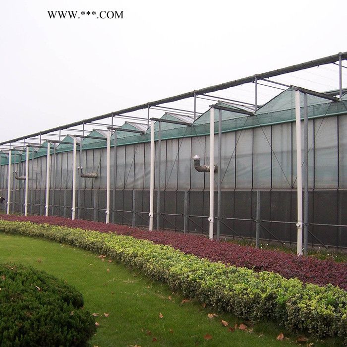 玻璃温室大棚 阳光板温室造价 光伏太阳能温室承建