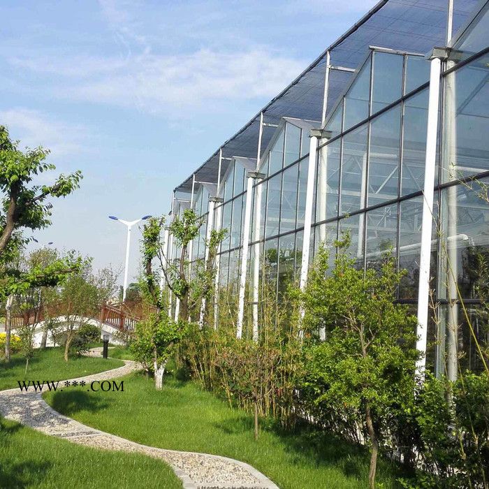 玻璃温室大棚 阳光板温室造价 光伏太阳能温室承建图4
