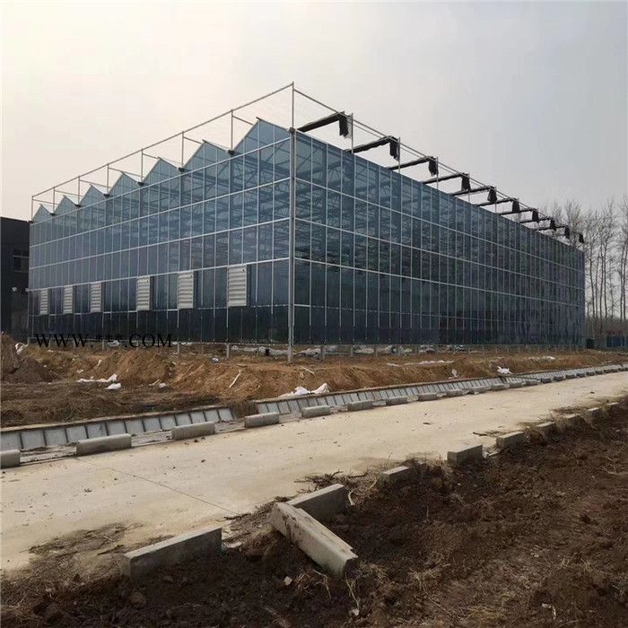 齐阳玻璃温室大棚采用顶部漫反射玻璃 贵州连栋玻璃温室骨架价格预算 大棚骨架图2