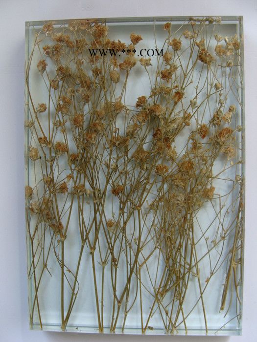 旭日梅兰湿法夹胶玻璃zw-002-3植物夹胶玻璃酒店室内装饰艺术玻璃