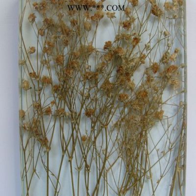 旭日梅兰湿法夹胶玻璃zw-002-3植物夹胶玻璃酒店室内装饰艺术玻璃