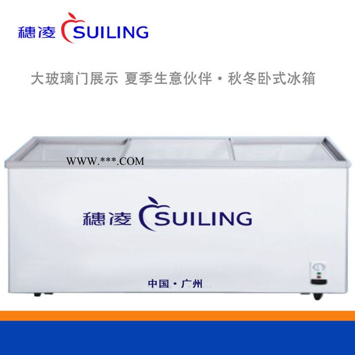 穗凌冰柜WD4-668 卧式 冷冻 展示柜 冷柜镀膜钢化玻璃图3