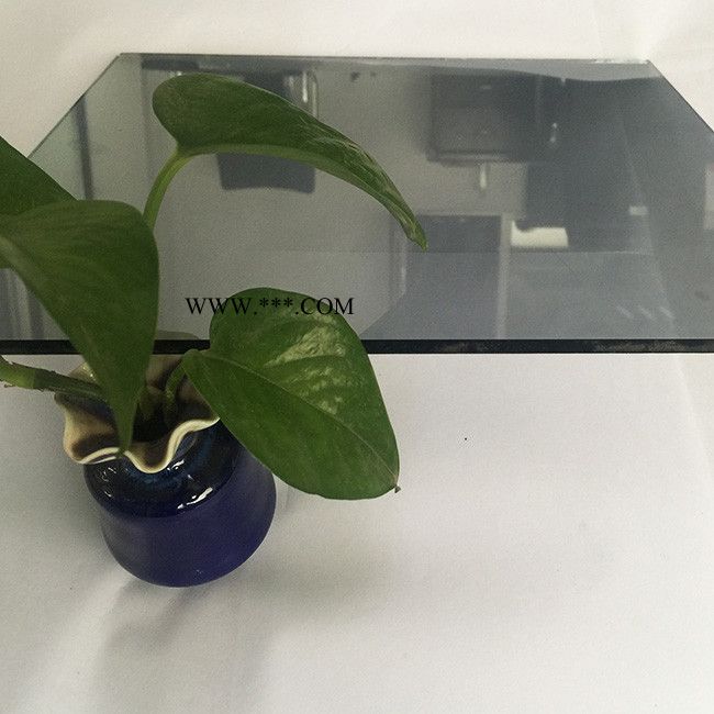 秦皇岛首博  厂家供应  镀膜玻璃图4