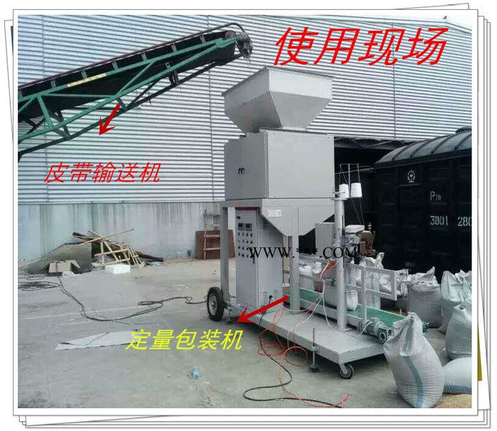 煤炭颗粒包装机 粉煤灰包装称、 称重计量包装机图7