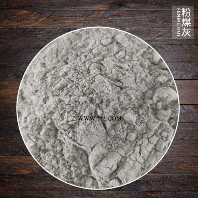 源头 粉煤灰厂家  超细粉煤灰 砂浆添加粉煤灰  品质混凝土用粉煤灰