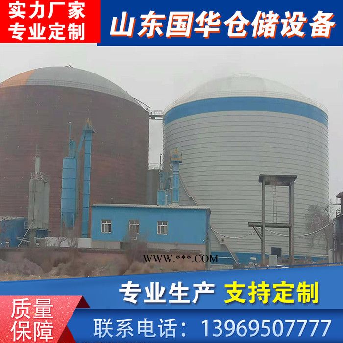 粉煤灰钢板仓工程 粉煤灰钢板库定做  粉煤灰仓 粉煤灰库 粉煤灰储存罐 国华图3