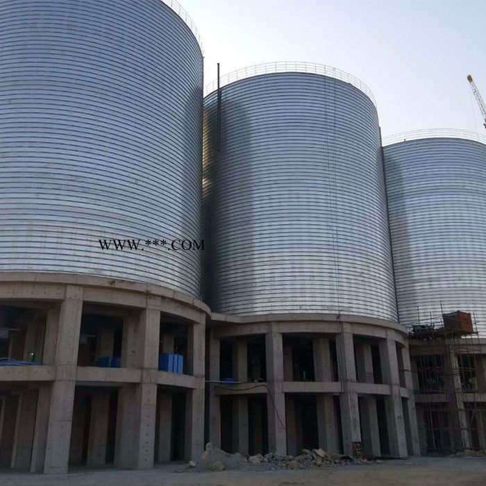 中兴 钢板仓 粉煤灰储料罐 现场安装图2