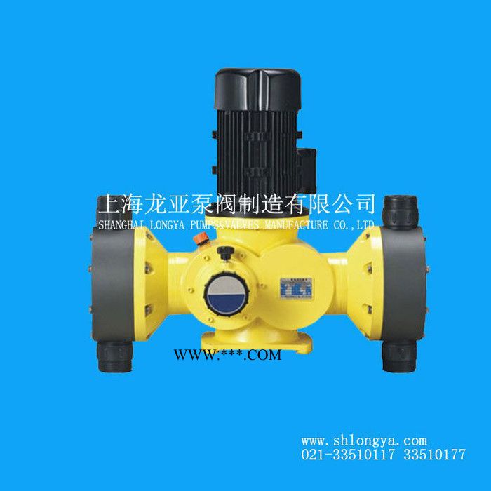 DM-03-07-L化学品化工计量泵 碳酸钠加药计量泵 电磁隔膜泵图3