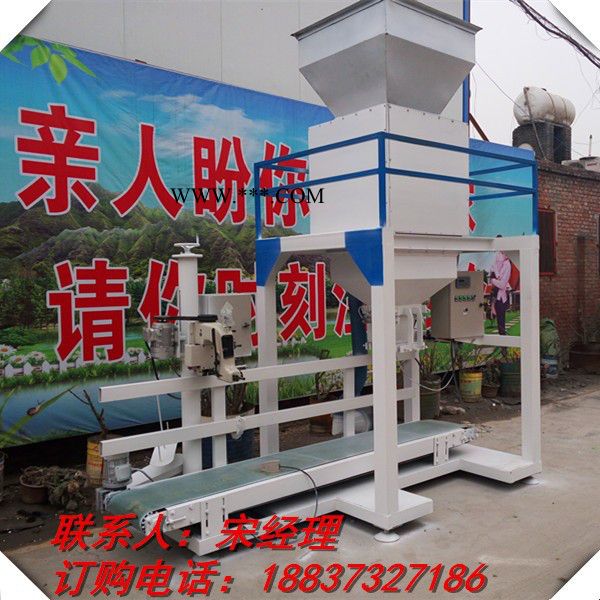 木炭块吨袋包装机 小块煤炭定量包装机图2