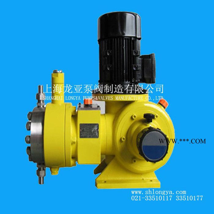 GB-S1800双泵头机械隔膜计量泵 碳酸钠添加计量泵图2