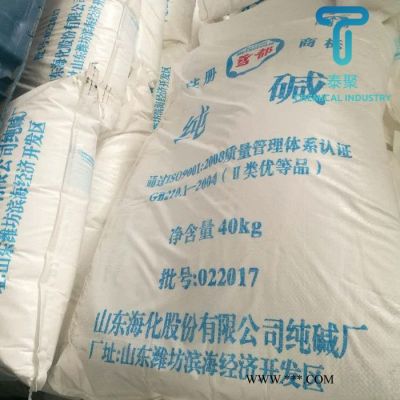 厂家直供湖北双环纯碱 山东海化纯碱 双环碳酸钠 工业级碳酸钠制造商