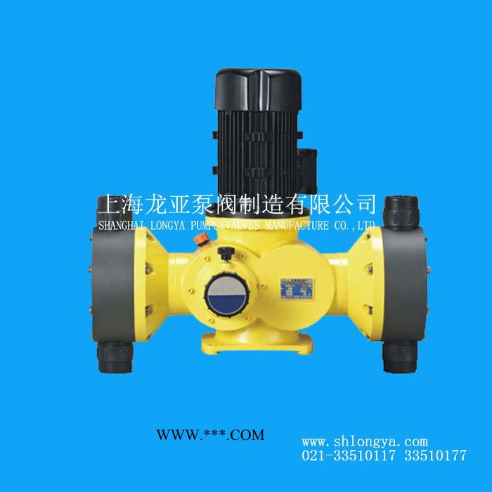 DM-30-03-X碳酸钠防爆计量泵 小苏打添加计量泵 耐腐蚀泵图2