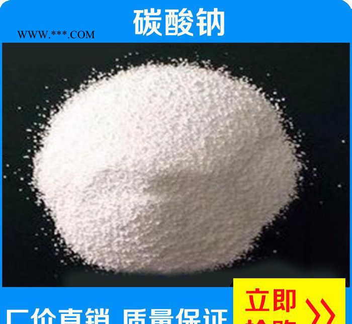 广东工业级高纯度碳酸钠 专用无机轻质纯碱碳酸钠 直销图3