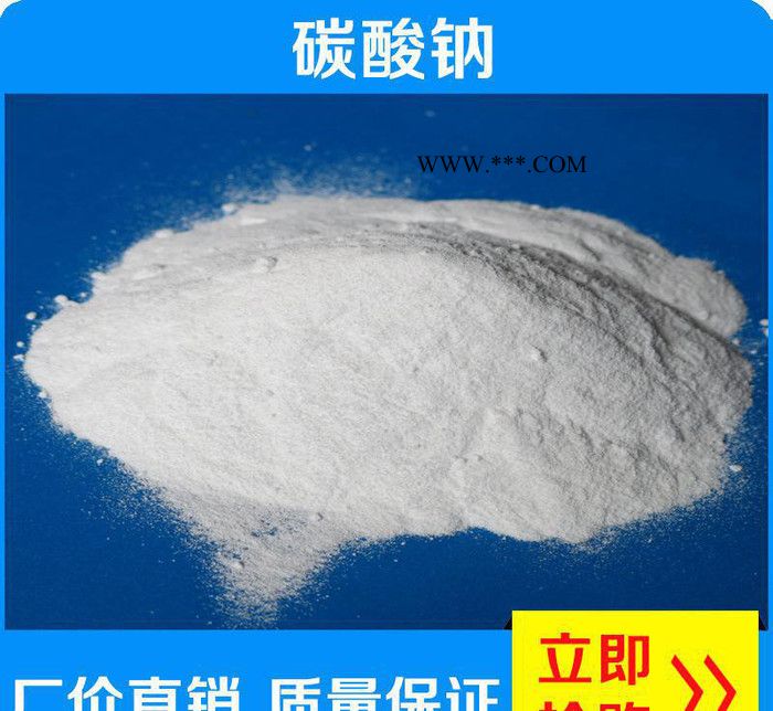 广东工业级高纯度碳酸钠 专用无机轻质纯碱碳酸钠 直销图2