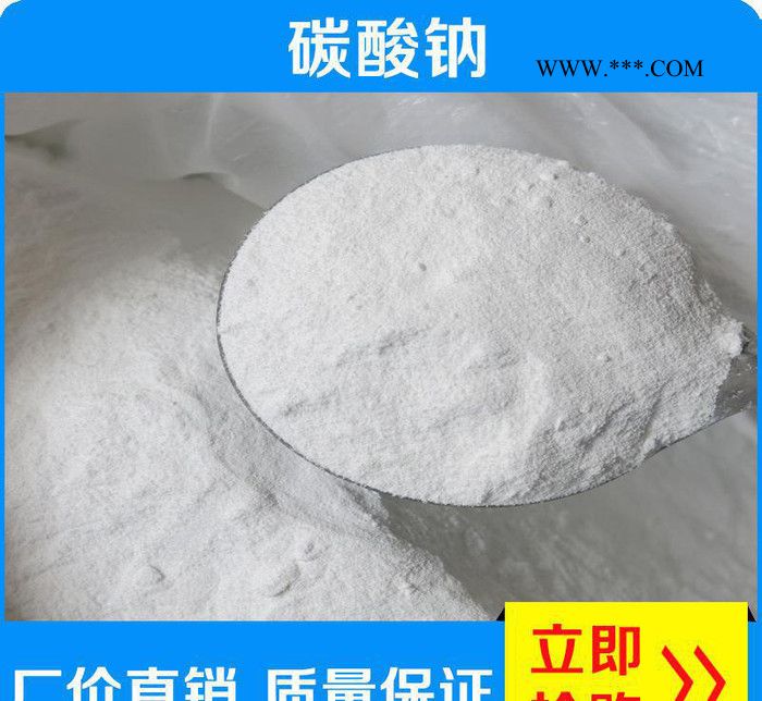 广东工业级高纯度碳酸钠 专用无机轻质纯碱碳酸钠 直销