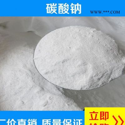 广东工业级高纯度碳酸钠 专用无机轻质纯碱碳酸钠 直销