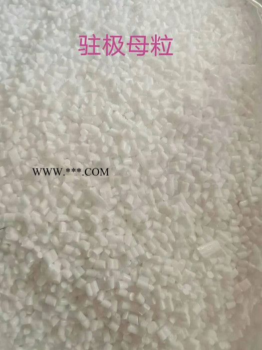 供应熔喷料 无纺布 驻极母粒 驻极母粒 增熔剂 乳化剂、分散剂、螯合剂、面团调节剂图2