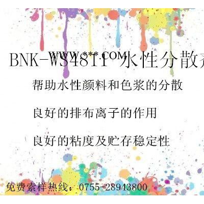 BNK-WS4811 水性分散剂