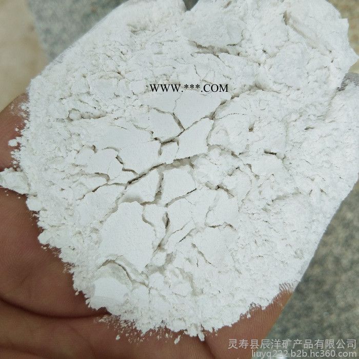 辰洋供应钙粉 德州方解石粉 白云石颗粒图1