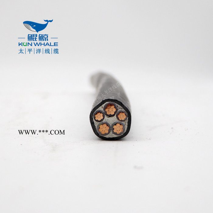 nhyjv5*10国标耐火电缆厂家直供云母带绕包性能好价格从优图6